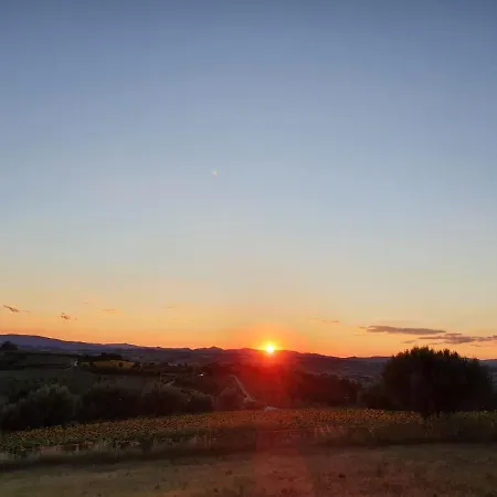 La Collina Bed & Breakfast *