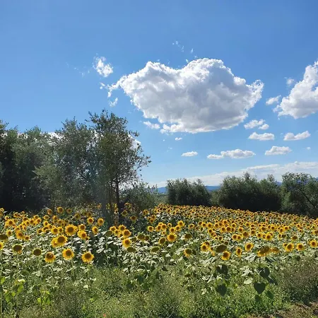 La Collina Bed & Breakfast