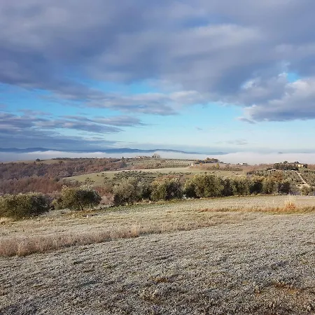 Bed & Breakfast La Collina *