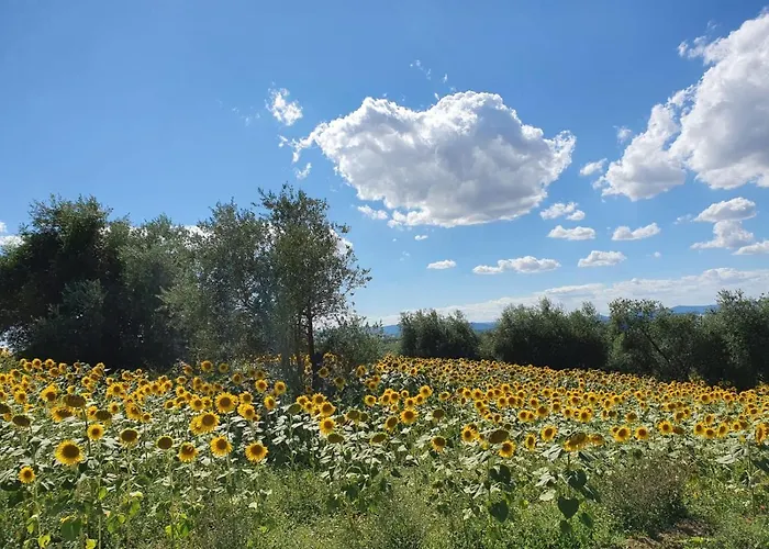 La Collina Alojamento de Acomodação e Pequeno-almoço