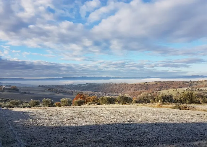 Alojamento de Acomodação e Pequeno-almoço La Collina 4*