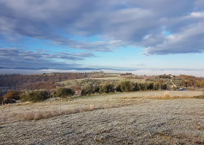 Alojamento de Acomodação e Pequeno-almoço La Collina 4*